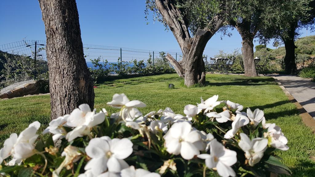 فيلا Aurivu Vallebona المظهر الخارجي الصورة